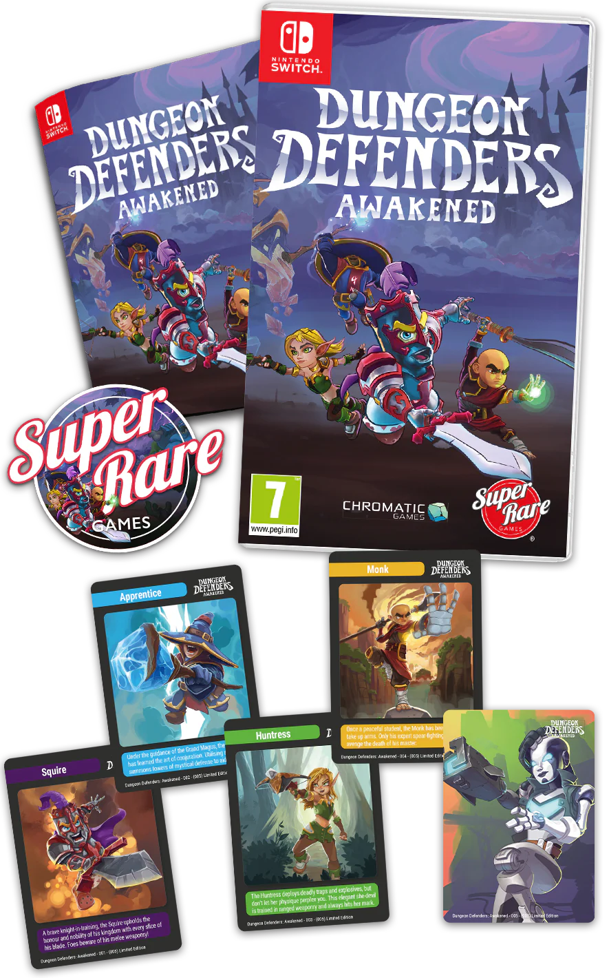 SRG#90: Dungeon Defenders: Awakened (Switch) - Image 3